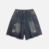 Aelfric Eden Distressed Washed Jorts